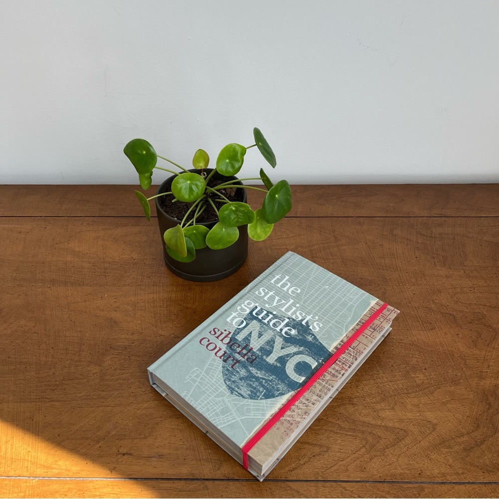 Book - The Stylist’s Guide to NYC